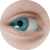 TTR